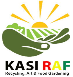 kasi-raf1
